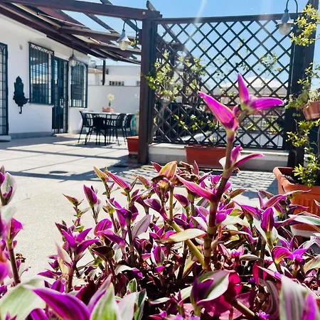 Romacentum Aurelio *